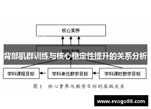 背部肌群训练与核心稳定性提升的关系分析