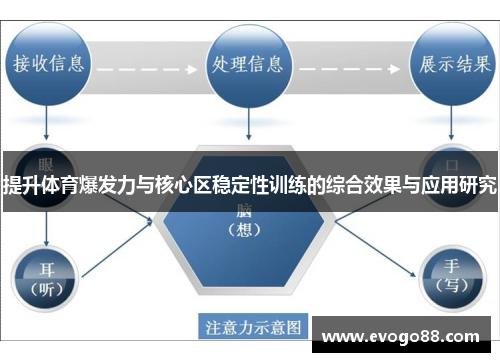 提升体育爆发力与核心区稳定性训练的综合效果与应用研究